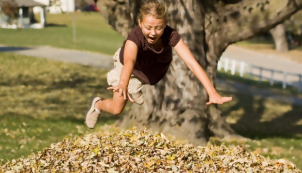jumping in leaves