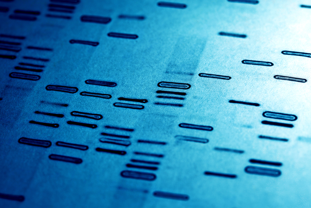 DNA coeliac