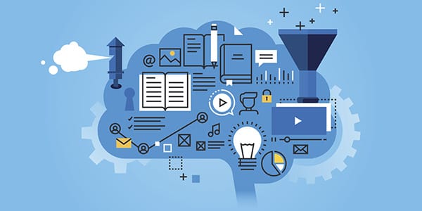 Cartoon brain - implementation research