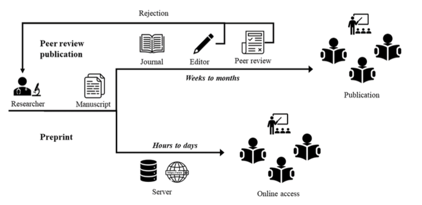 Diagram of preprint versus traditional peer review publication. Starts with Researcher  writing a manuscript. Traditional publication approach takes weeks to months to then go through peer review, editorial amendments via a journal. Preprint takes hours to days to go via the internet and allow readers online access instead of publication in a journal.