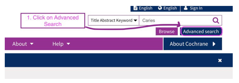 Showing how to access the Cochrane PICO search. Enter the search term into the search box and click on the advanced search button.