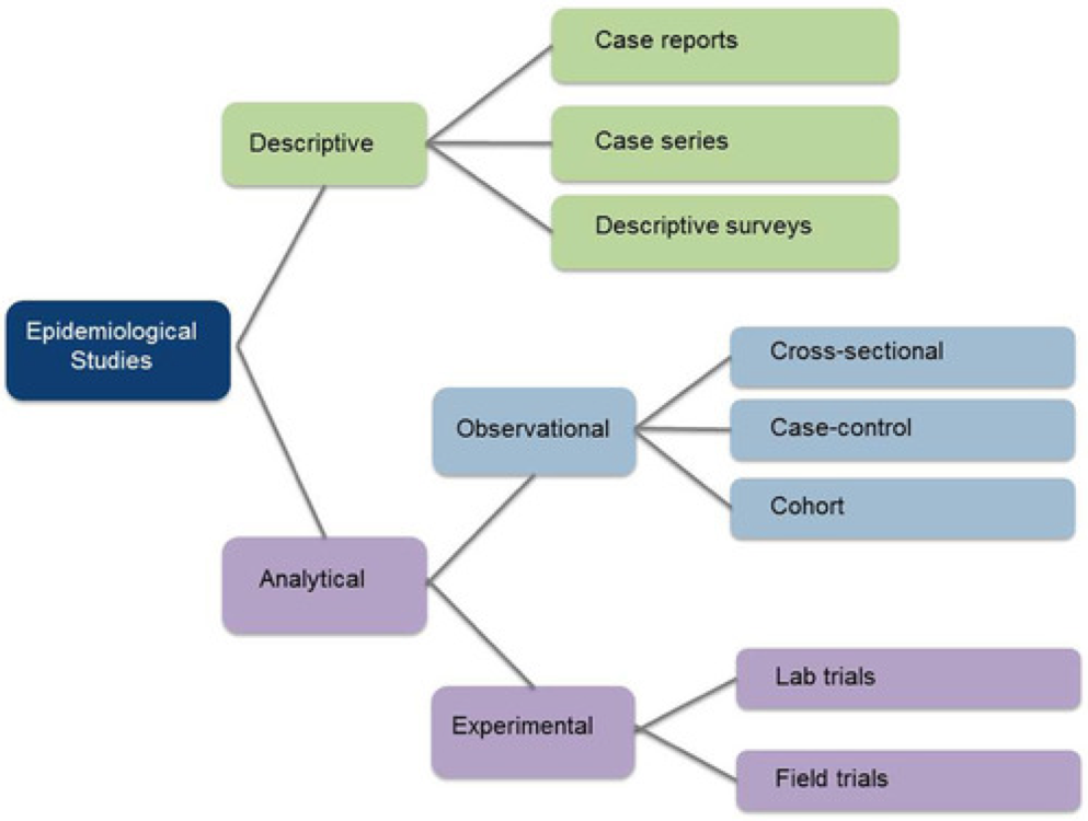 A visual diagram describing the following. Two types of epidemiological studies are descriptive and analytical. Types of descriptive studies are case reports, case series, descriptive surveys. Types of analytical studies are observational or experimental. Observational studies can be cross-sectional, case-control or cohort studies. Types of experimental studies can be lab trials or field trials.