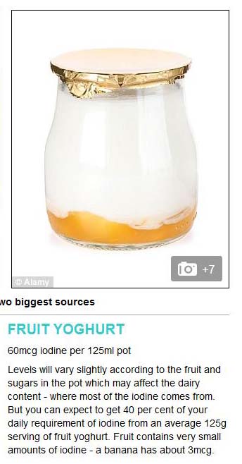 fruit yoghurt screen shot